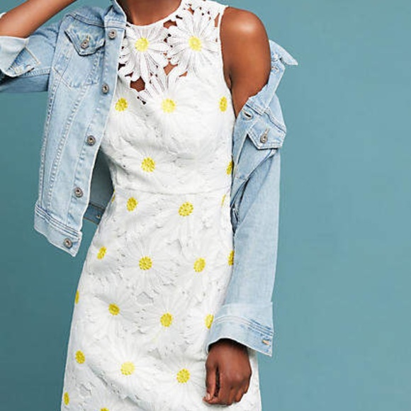 Anthropologie Dresses & Skirts - Anthropologie Hutch White Daisy Dress
